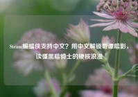 Steam蝙蝠侠支持中文？用中文解锁哥谭暗影，读懂黑暗骑士的硬核浪漫