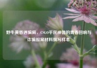 野牛黄昏遇骗局，CSGO平民神器的青春回响与诈骗报案材料撰写样本