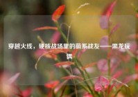 穿越火线，硬核战场里的萌系战友——黑龙玩偶