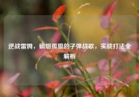 逆战雷姆，硝烟孤狼的子弹战歌，实战打法全解析