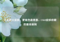 不止枪火皮肤，更是热血青春，CSGO皮肤收藏的基本原则