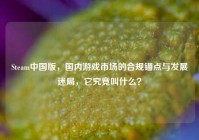 Steam中国版，国内游戏市场的合规锚点与发展迷局，它究竟叫什么？