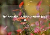 逆战飞天全指南，从萌新到空中霸主的进阶之路