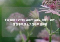 王者荣耀主动封号申请全指南，流程、风险、注意事项及永久封号申请解析