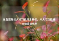 王者荣耀控火技巧视频全解析，从入门到精通，点燃战局优势