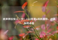 听声辨位快人一步！CSGO耳塞&耳机推荐，战场制胜必备