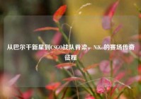 从巴尔干新星到CSGO战队脊梁，NiKo的赛场传奇征程