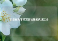 游走在和平精英体验服的代练江湖