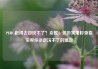 PUBG进得去却玩不了？别慌！这份实用排查指南帮你搞定玩不了的难题