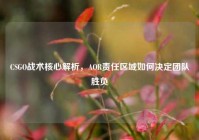CSGO战术核心解析，AOR责任区域如何决定团队胜负