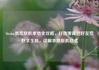 Steam饥荒联机本地全攻略，打造零延迟好友荒野求生局，详解本地联机格式
