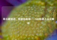草丛藏加点，技能品稻草——LOL稻草人玩法解析