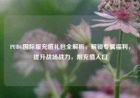 PUBG国际服充值礼包全解析，解锁专属福利，提升战场战力，附充值入口