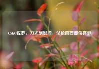 CSGO佐罗，刀光剑影间，仗枪圆西部侠客梦