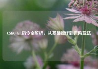 CSGO left指令全解析，从基础操作到进阶玩法