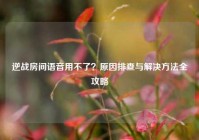 逆战房间语音用不了？原因排查与解决方法全攻略