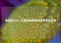 猴狙在CSGO，从整活神梗到战术奇兵的逆袭