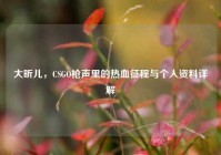 大昕儿，CSGO枪声里的热血征程与个人资料详解
