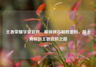 王者荣耀学堂官网，解锁峡谷制胜密码，踏上青铜到王者进阶之路