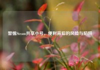 警惕Steam共享小号，便利背后的风险与陷阱