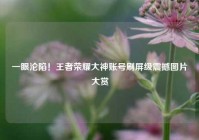 一眼沦陷！王者荣耀大神账号刷屏级震撼图片大赏