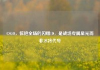 CSGO，惊艳全场的闪耀ID，是战场专属星光而非冰冷代号