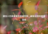 藏在CF仓库角落的普通龙珠，解锁尘封的青春密码