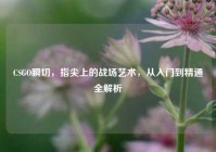 CSGO瞬切，指尖上的战场艺术，从入门到精通全解析