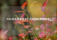 PUBG无法全屏显示？几招轻松帮你搞定！
