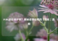 PUBG还在维护吗？揭秘老牌吃鸡的「续航」真相