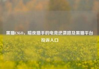 黑猫CSGO，暗夜猎手的电竞逆袭路及黑猫平台投诉入口