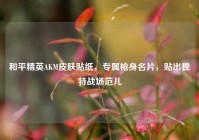 和平精英AKM皮肤贴纸，专属枪身名片，贴出独特战场范儿