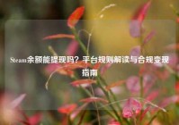Steam余额能提现吗？平台规则解读与合规变现指南