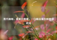 蒸汽咖啡，氤氲白雾里，一口慢品复古醇香旧时光