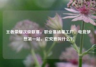 王者荣耀次级联赛，职业赛场星工厂，电竞梦想第一站，它究竟叫什么？