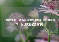 CSGO贴纸FP，从虚拟像素到收藏符号的磨损美学，贴纸究竟能否取下？