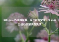 国区Steam热销榜观察，国产游戏突围，多元品类撬动玩家消费热情