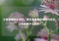 王者荣耀限定皮肤，藏在像素里的情怀与狂欢，它到底是什么意思？