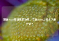 藏在Steam壁纸里的边境，它在Steam上的名字是什么？