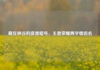 藏在峡谷的浪漫暗号，王者荣耀两字情侣名