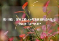 镜中瞬影，那些定格CSGO鸟狙灵魂的经典图片，你知道它叫什么吗？