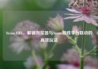 Steam CRX，解锁浏览器与Steam游戏平台联动的高效玩法
