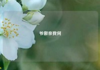 爷傲奈我何