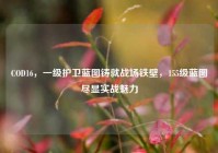 COD16，一级护卫蓝图铸就战场铁壁，155级蓝图尽显实战魅力