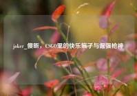 joker_傻昕，CSGO里的快乐疯子与倔强枪神
