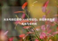 从头号段位图看CSGO头号钻石，段位体系的试炼场与分水岭