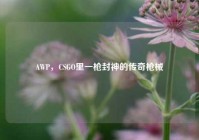 AWP，CSGO里一枪封神的传奇枪械
