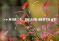 PUBG高颜值大衣，藏在虚拟战场里的青春战衣