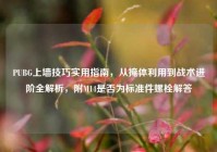 PUBG上墙技巧实用指南，从掩体利用到战术进阶全解析，附M14是否为标准件螺栓解答
