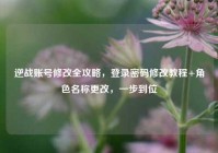 逆战账号修改全攻略，登录密码修改教程+角色名称更改，一步到位